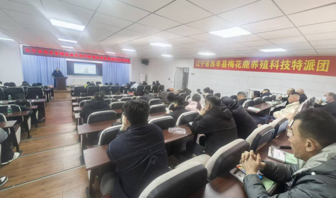 乐天堂备用网址