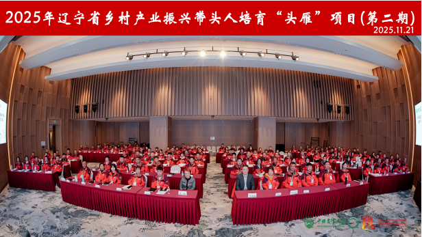 乐天堂备用网址