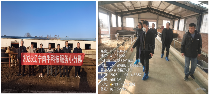 乐天堂备用网址