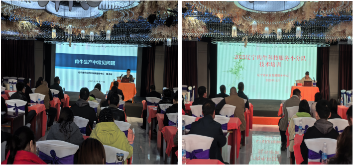 乐天堂备用网址