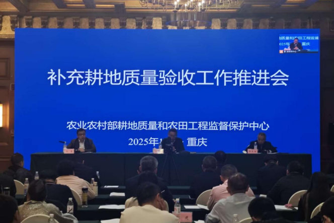 乐天堂备用网址