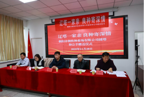 乐天堂备用网址