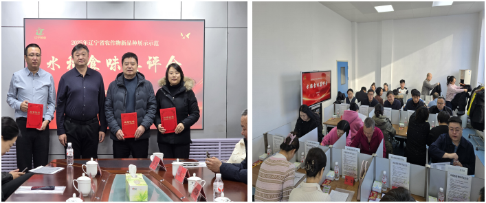 乐天堂备用网址