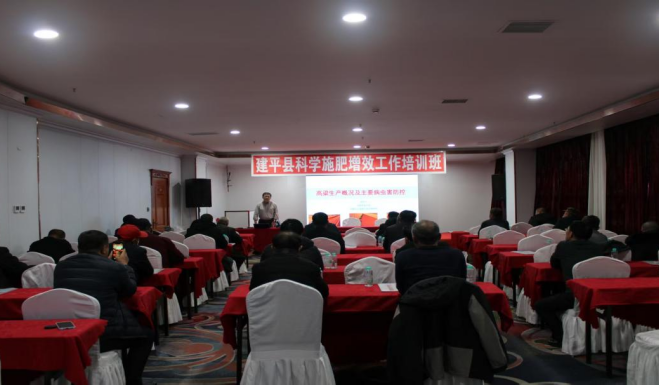 乐天堂备用网址
