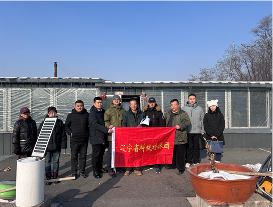 乐天堂备用网址