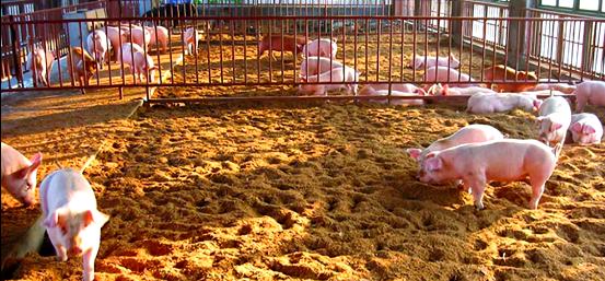 乐天堂备用网址