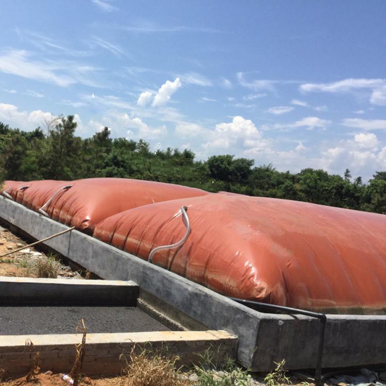 乐天堂备用网址