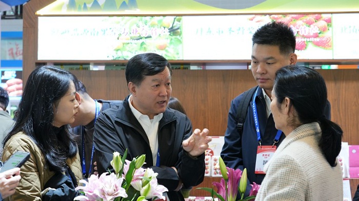 乐天堂备用网址