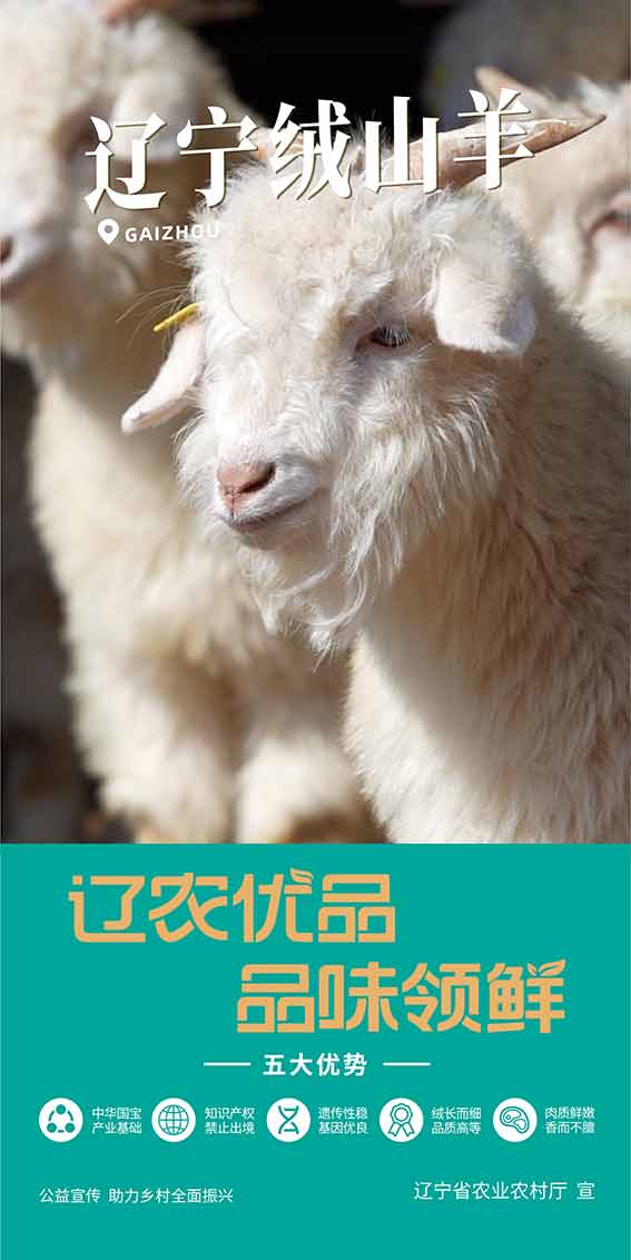 乐天堂备用网址
