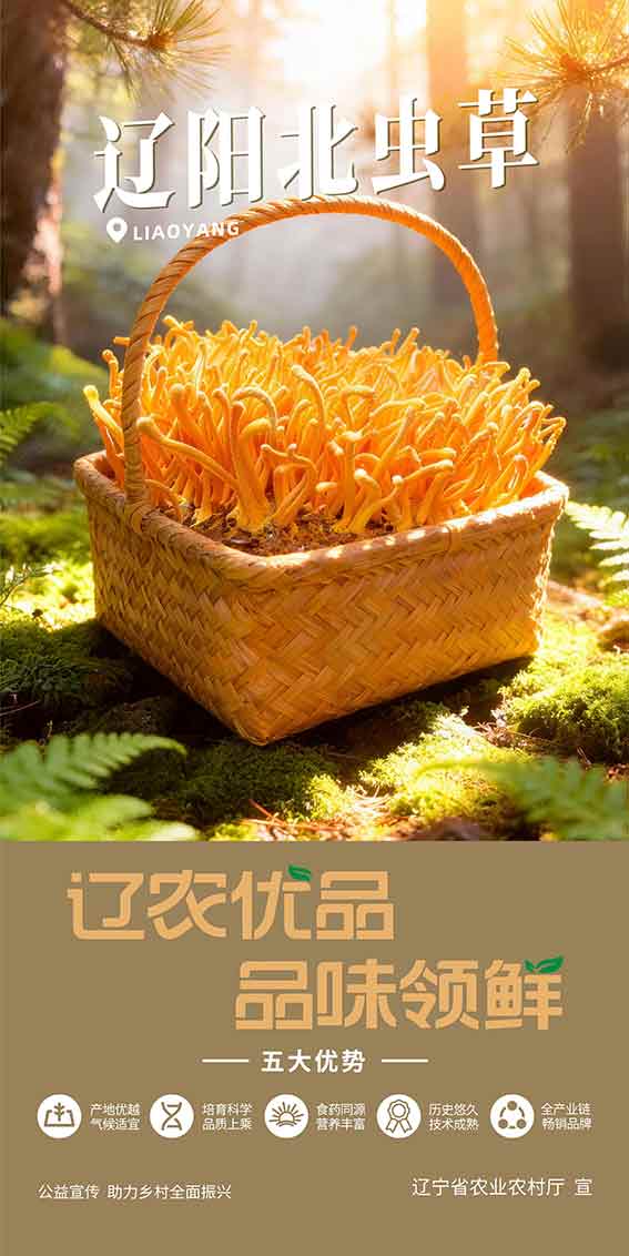 乐天堂备用网址