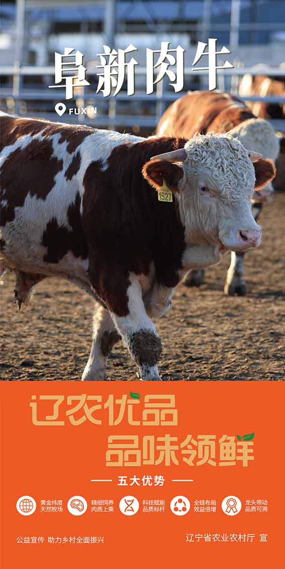 乐天堂备用网址