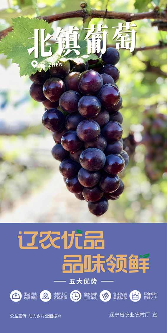 乐天堂备用网址