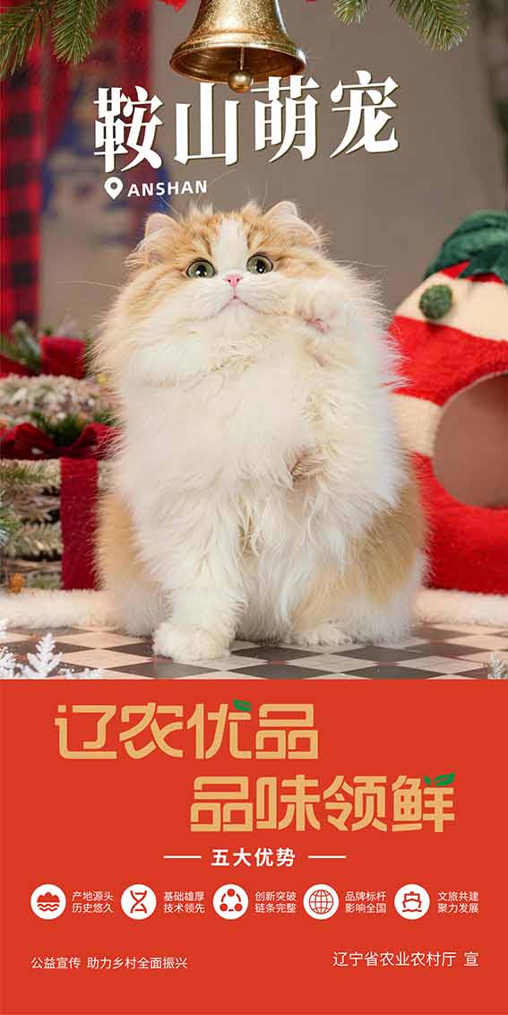 乐天堂备用网址