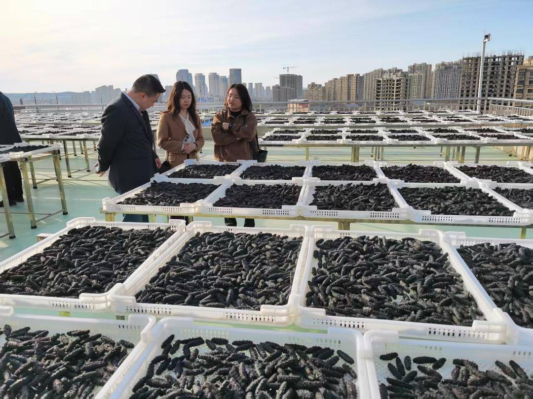 乐天堂备用网址