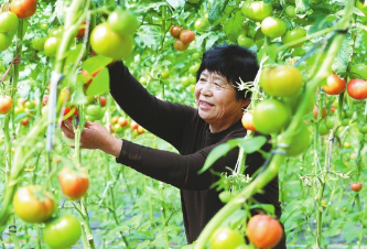 乐天堂备用网址