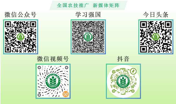 乐天堂备用网址